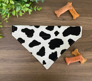 Cow Print/Teal Dog Bandana